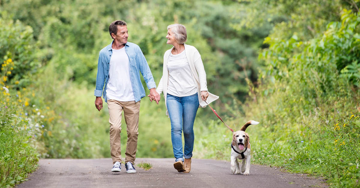 couple walking their dog